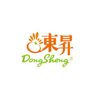 DongSheng东升品牌LOGO