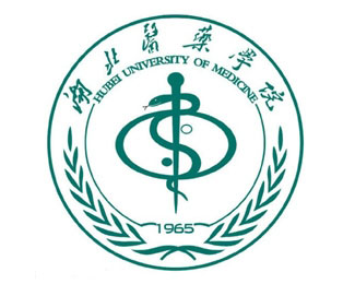 湖北医药学院校徽logo寓意
