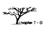 Chapter7章