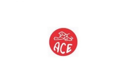 ACE Hardware Logo 1929