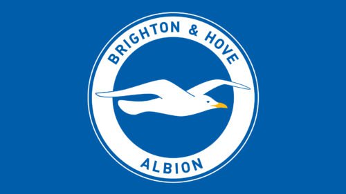Brighton  Hove Albion fc Logo