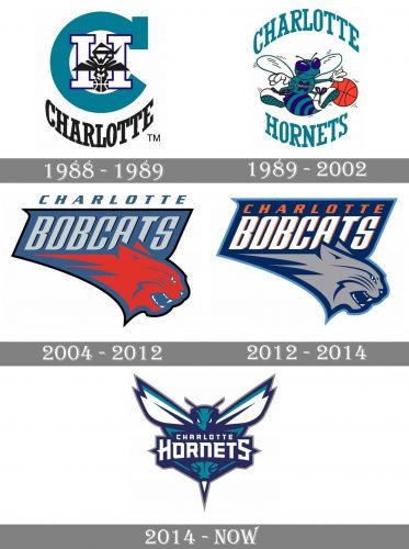 Charlotte hornets Logo history
