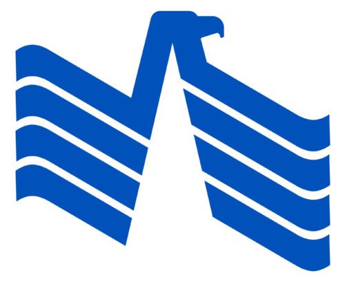 Color USAA Logo