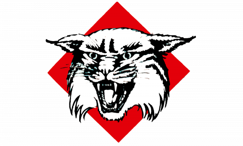 Davidson Wildcats Logo-1985