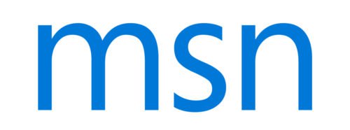 Font MSN Logo