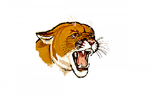 Pittsburgh Panthers Logo-1966