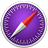 Safari icon 4
