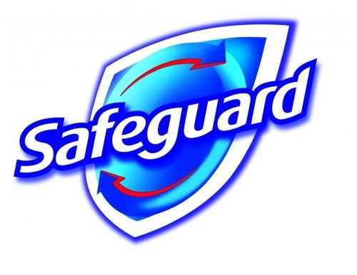 Safeguard Logo-2007