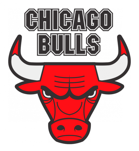 shape chicago bulls