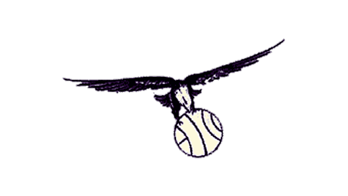 St. Louis Hawks Logo 1955-1957