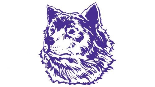 Washington Huskies Logo 1971